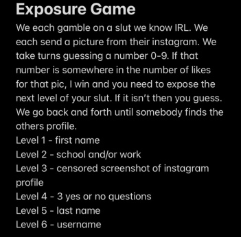 Irl exposure game
